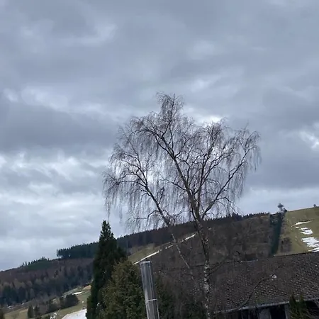Apartman Nr. 1 Willingen Willingen